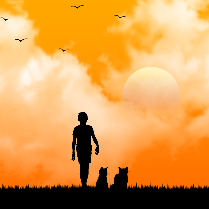 We Care...Cat #12 static token preview