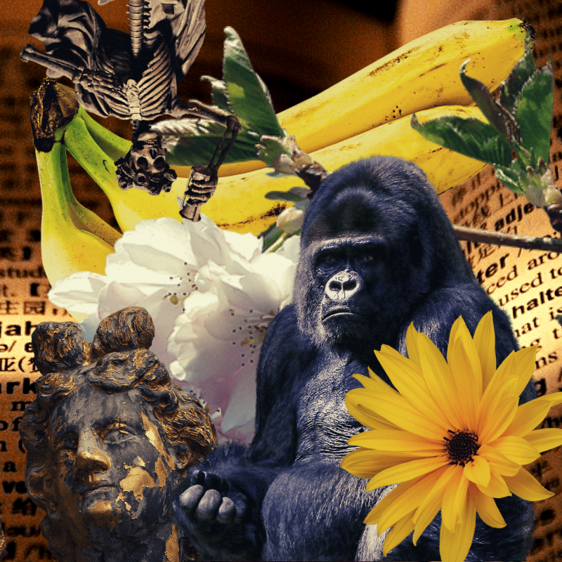 Banana flower #12 static token preview