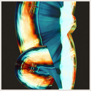 Obliques project preview