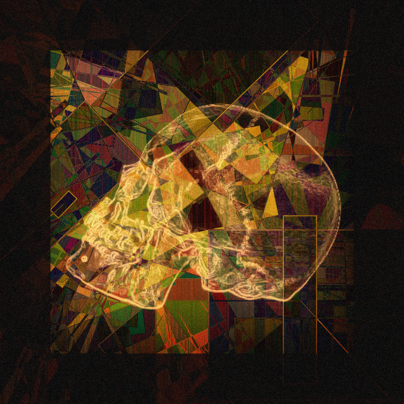 X-ray of a skull #14 static token preview