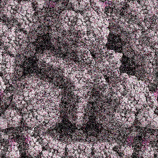 Lichenoid forms #1 static token preview