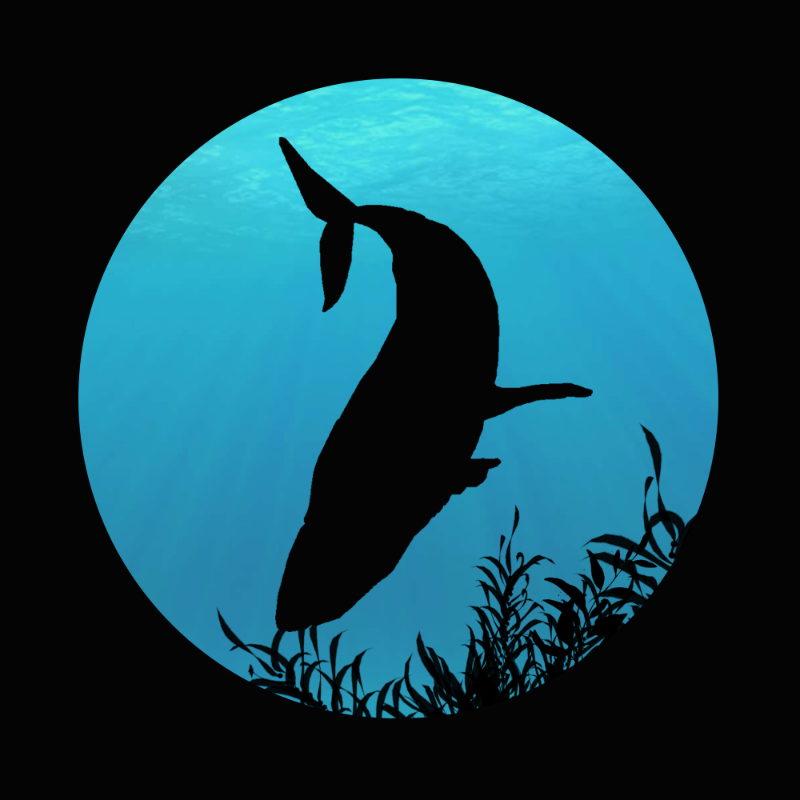 Whale #2 static token preview