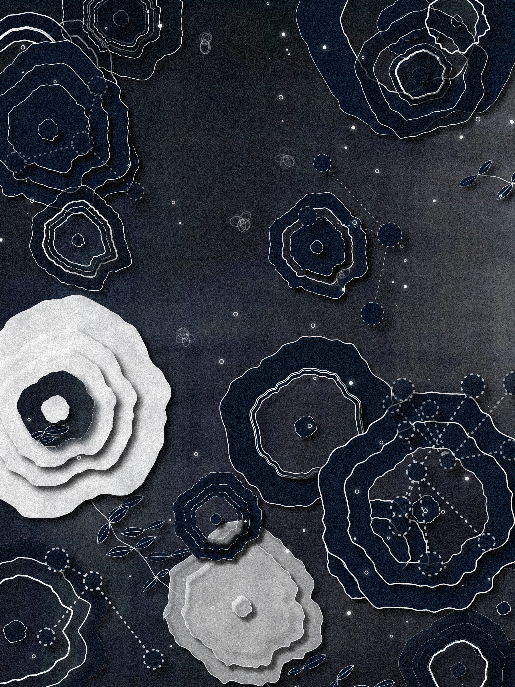 Coral #23 static token preview