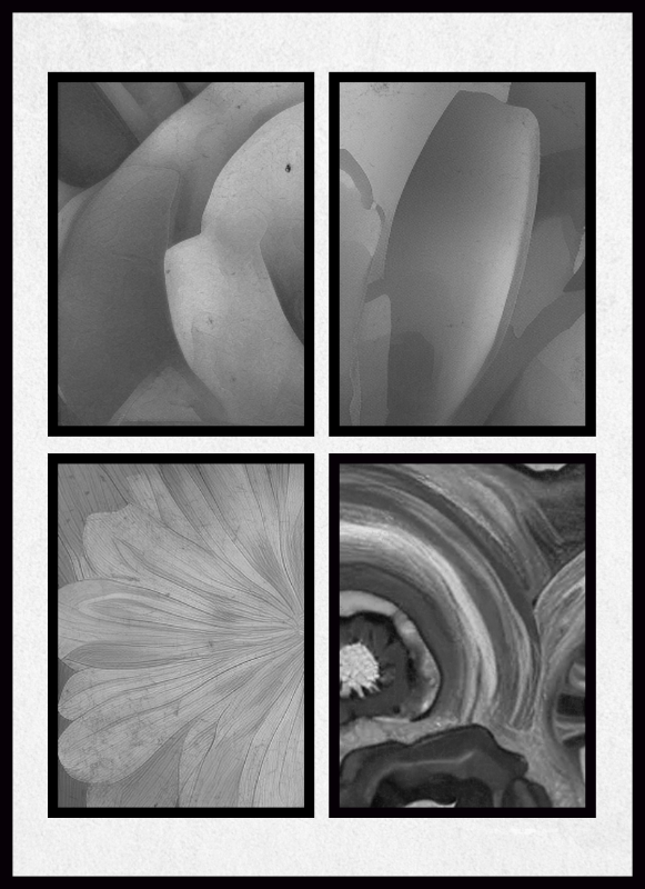 B & W #6 static token preview