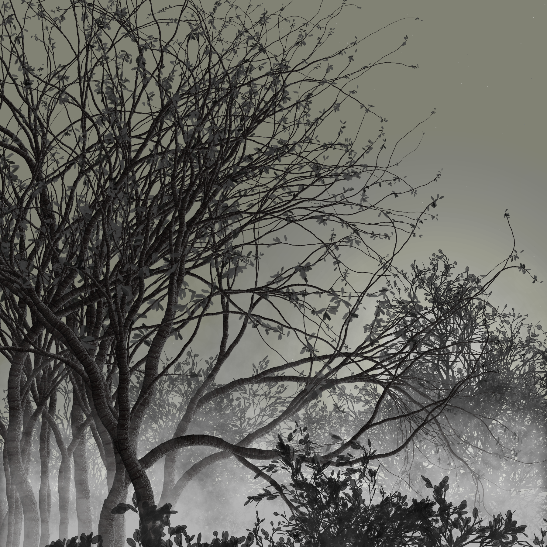 Morning Mist #18 static token preview