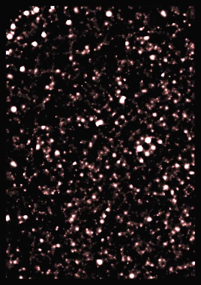 Cosmic Patterns #3 static token preview