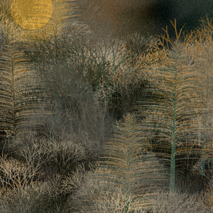 Moonlit Native Bush project preview