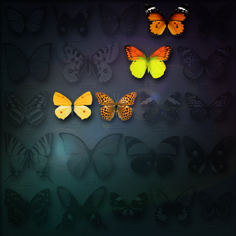 Save Butterfly World #11 static token preview