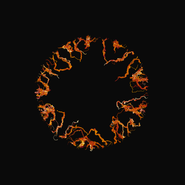 Ginseng #4 static token preview