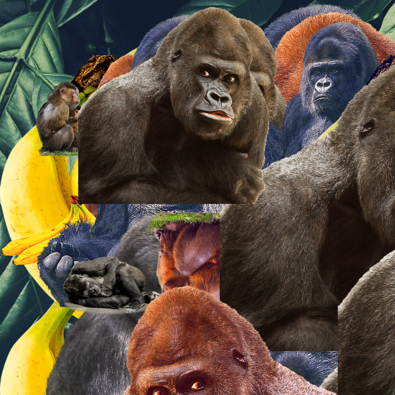 Banana #1 #21 static token preview