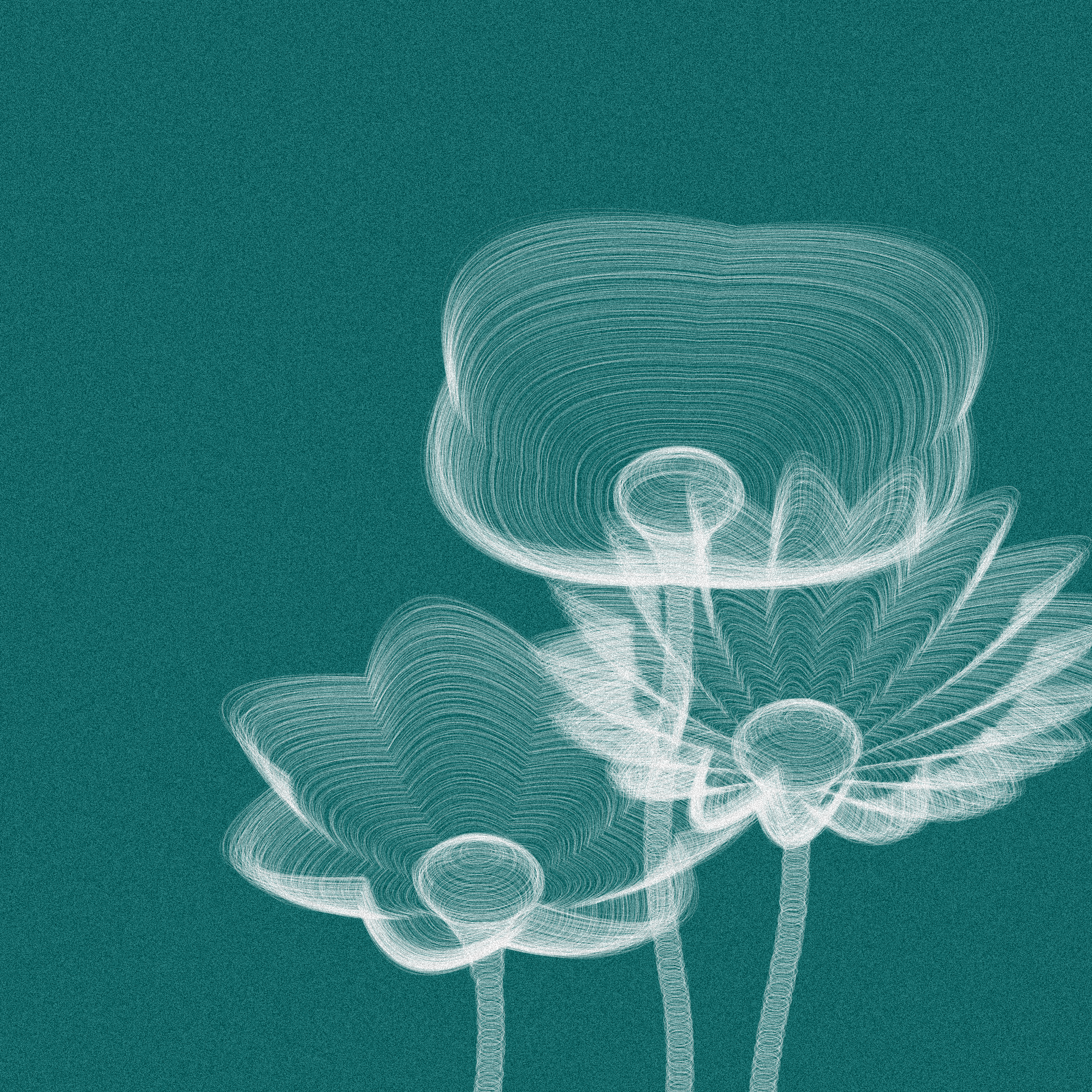 Code Flowers #4 static token preview