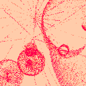Genuary 2023 Day 29 - Maximalism project preview
