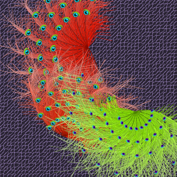 Oriental Peafowl Impression #5 static token preview