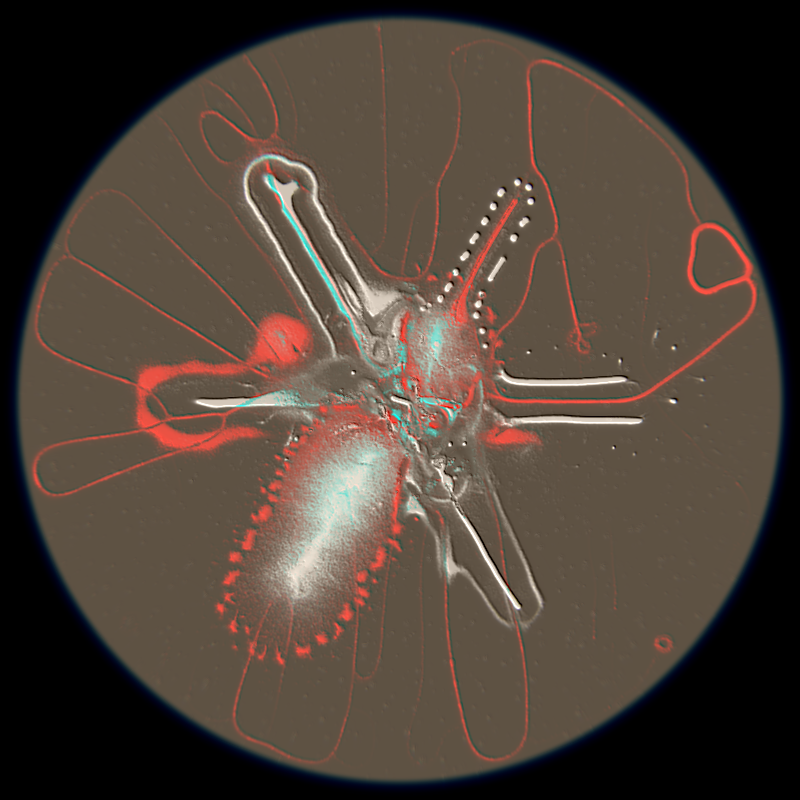 Ethereal Microcosm #176 static token preview