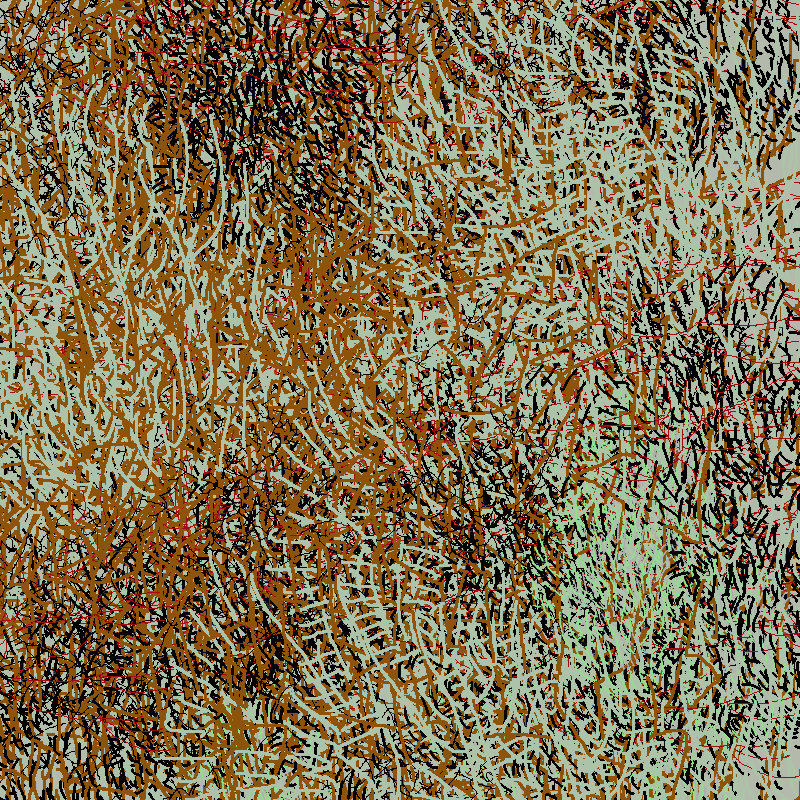 a bird worked on my painting #15 static token preview