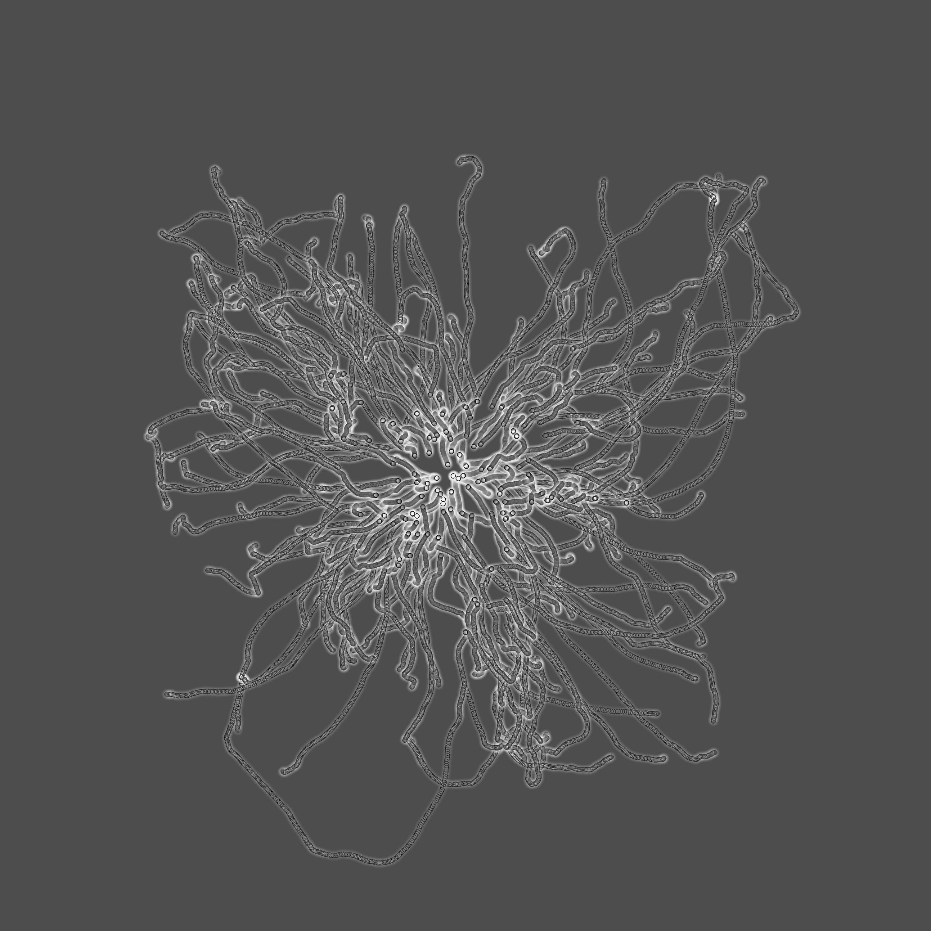 grey fungi wisdom #96 static token preview