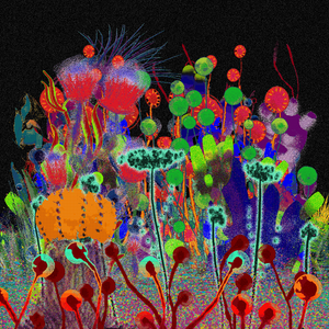 Harvesting on Ceshan project preview