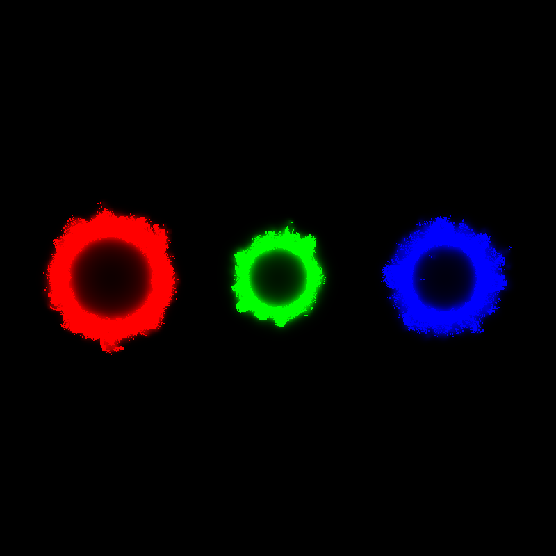 Physarum polycephalum #22 static token preview