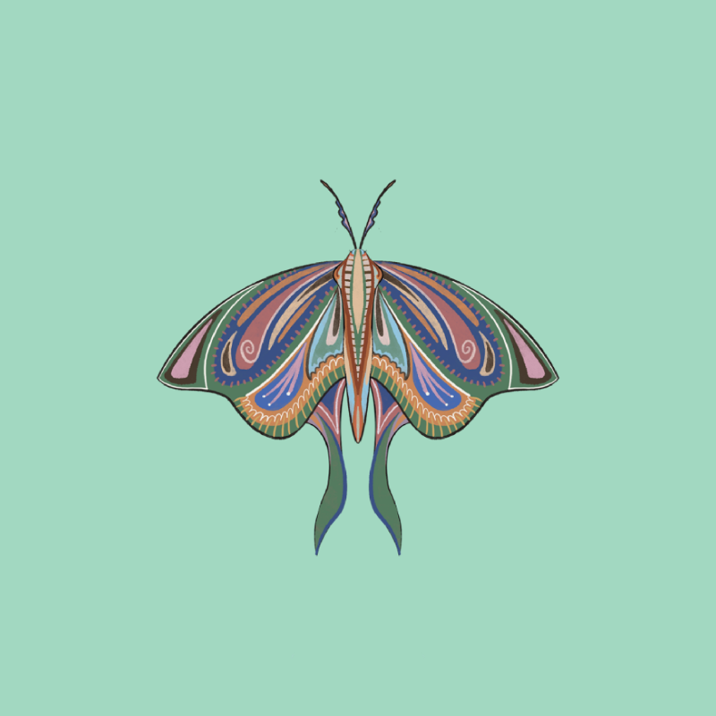 The Moth Experiment 2.0 P2 #9 static token preview