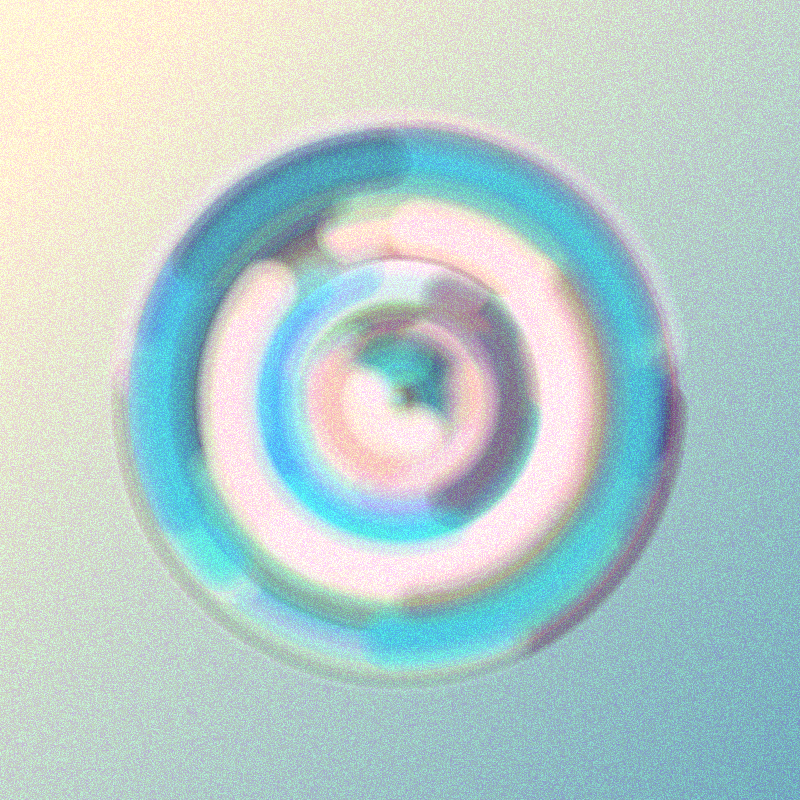 Wisp #801 static token preview