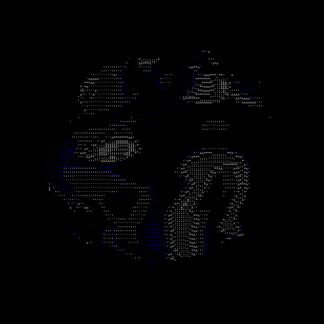 parts of us - ascii #29 static token preview