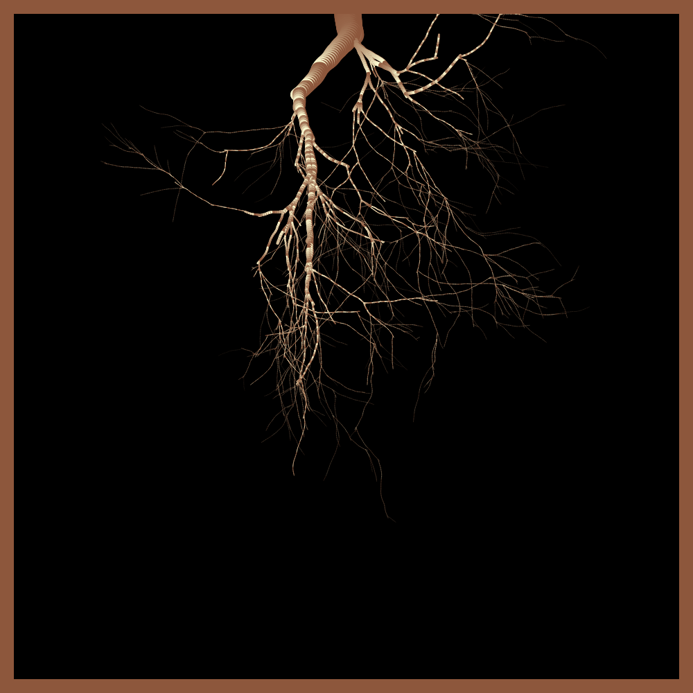 Arbres suspendus #16 static token preview