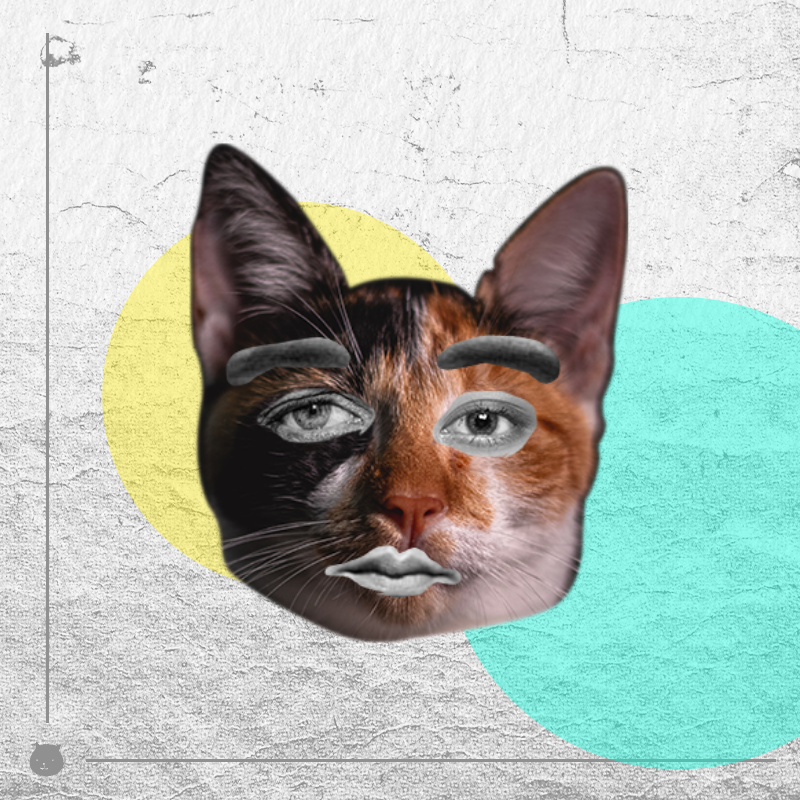 Kittenstein #71 static token preview
