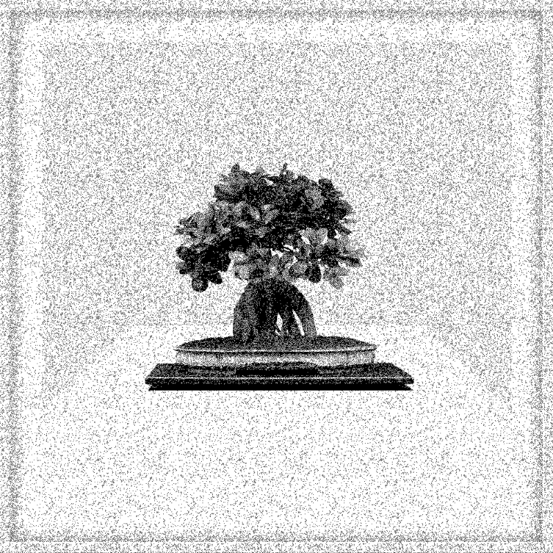 Bonsai Bonanza #379 static token preview
