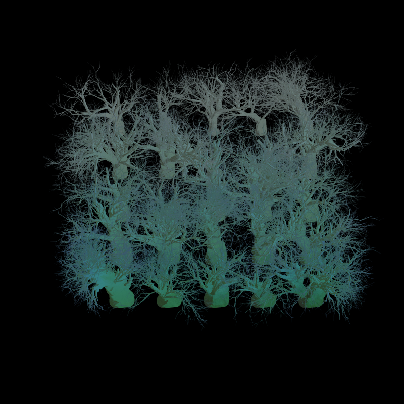 forestBlooms static project preview