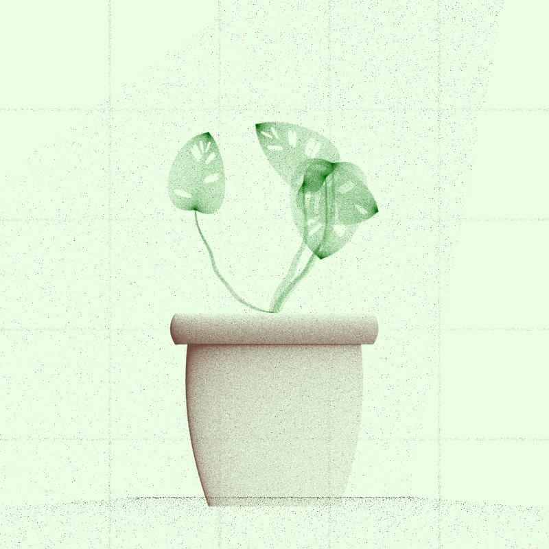 🌱 Potted & Printed #23 static token preview