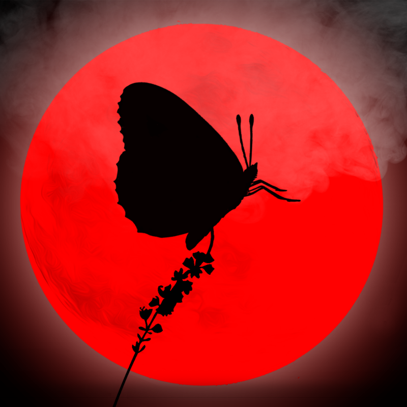 We Care...Butterfly #6 static token preview