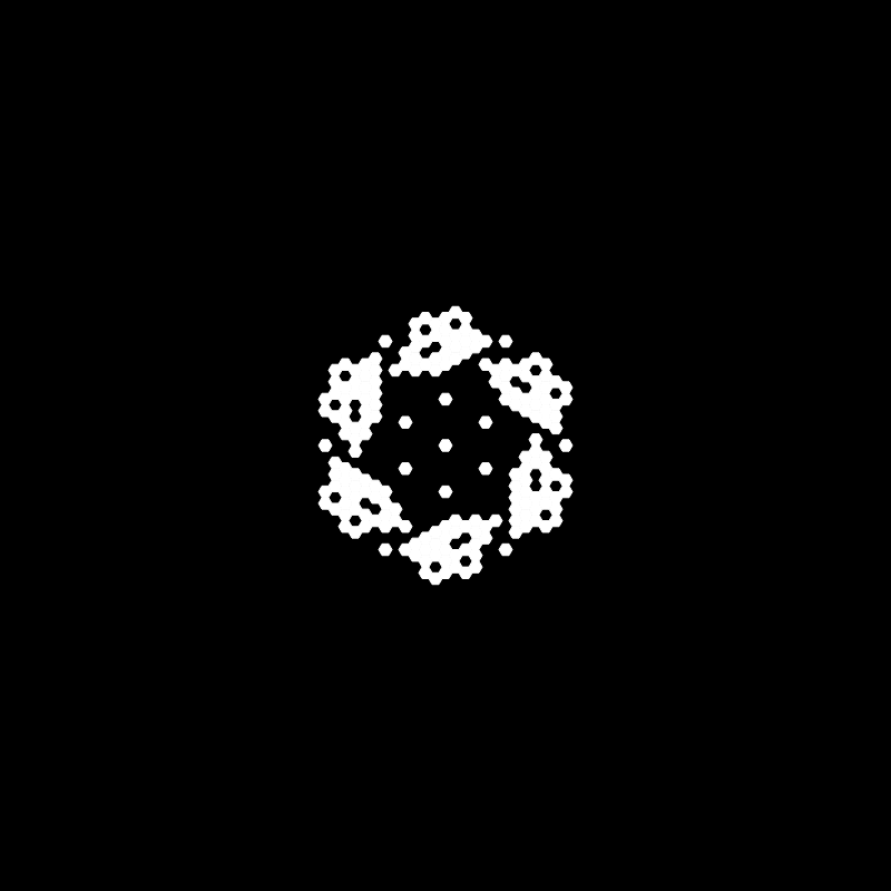 Snowflake #455 static token preview