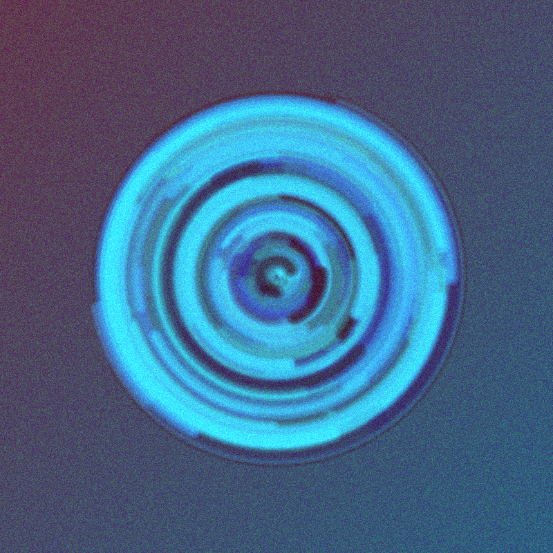 Wisp #1 static token preview
