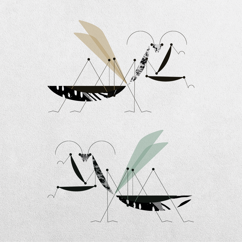 Mantis Abstraction #10 static token preview
