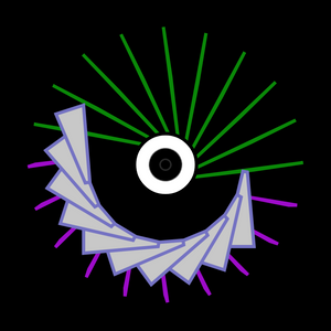 Eye of the universe project preview