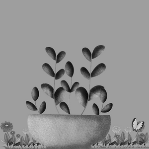 Plants project preview