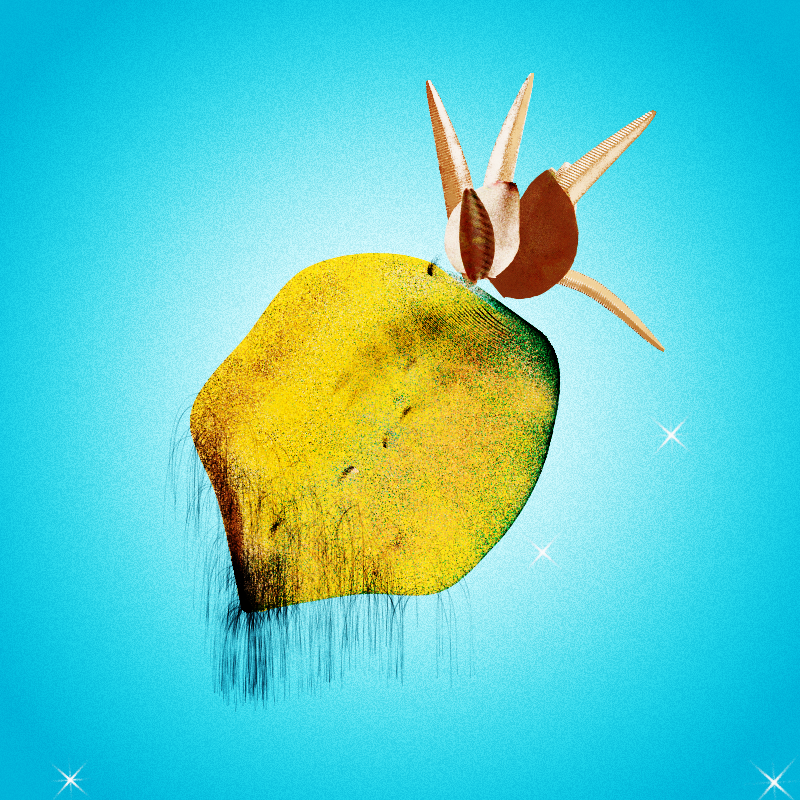 Fresh Fruit #14 static token preview