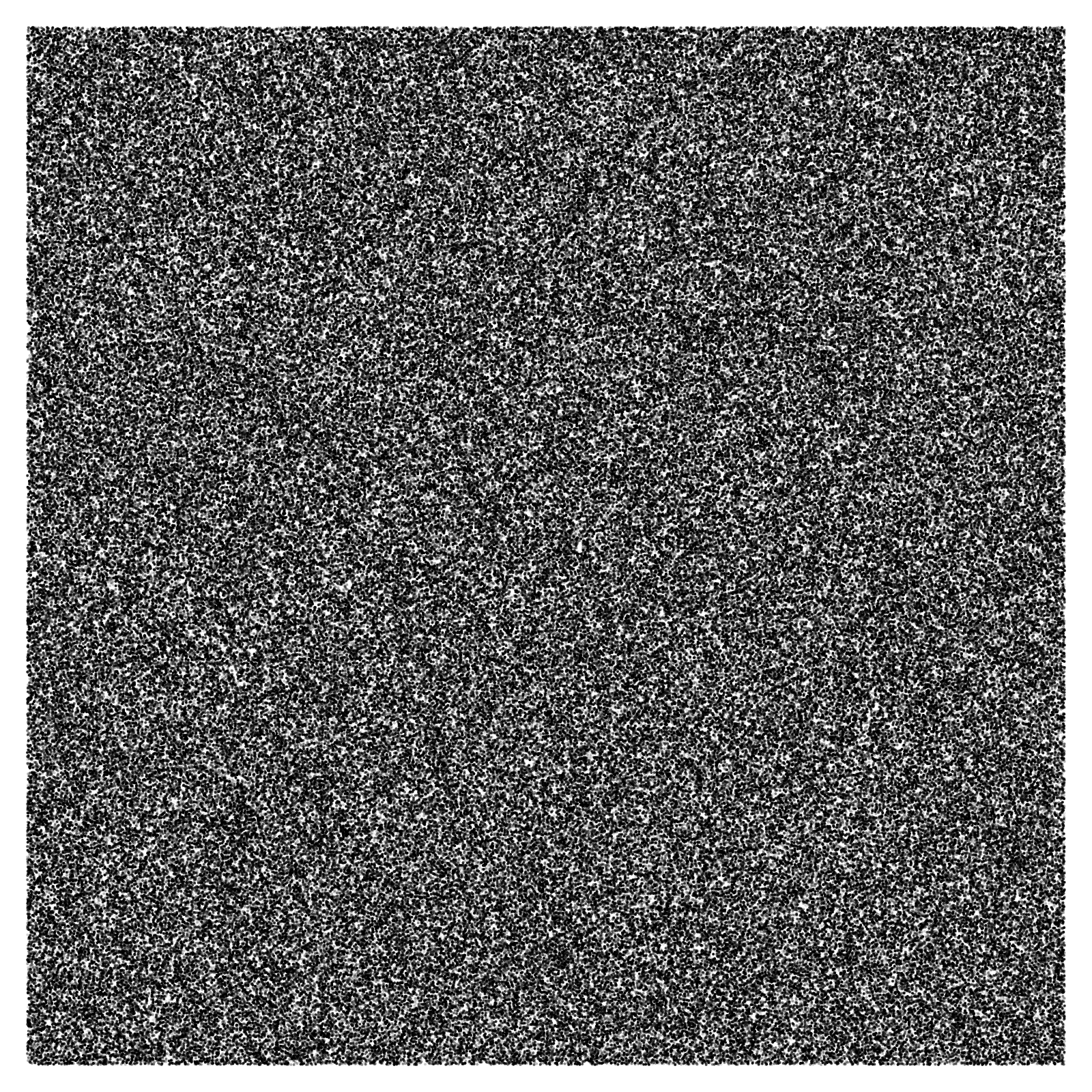 Noise #2 static token preview