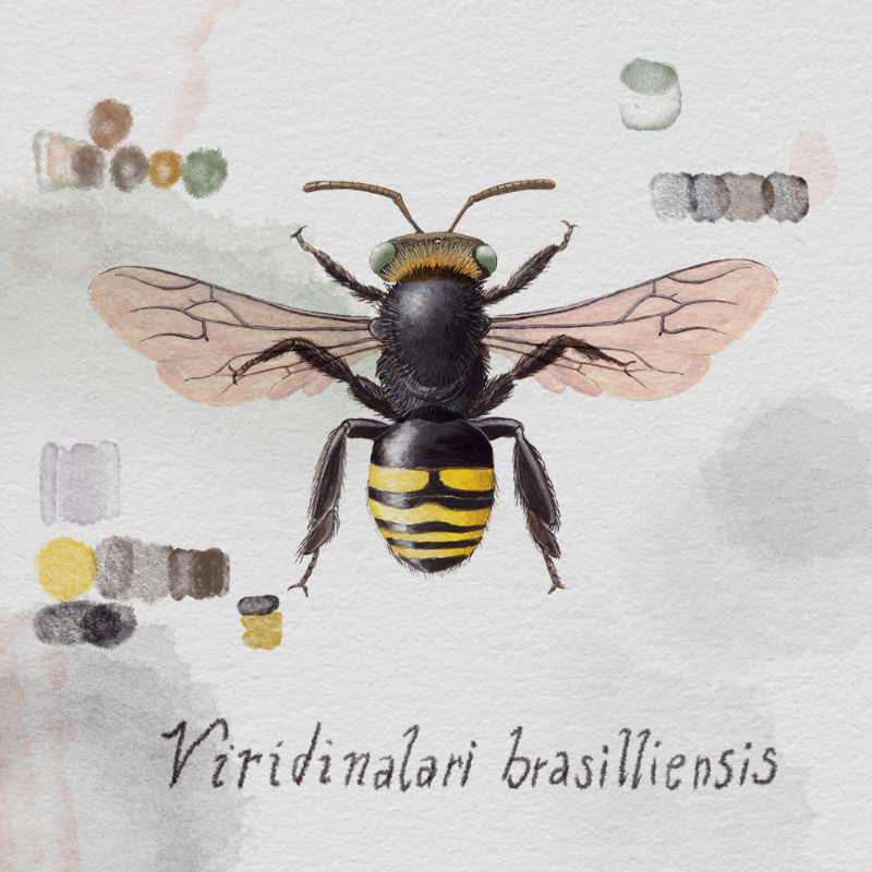 Randomic Brazilian Bees #18 static token preview