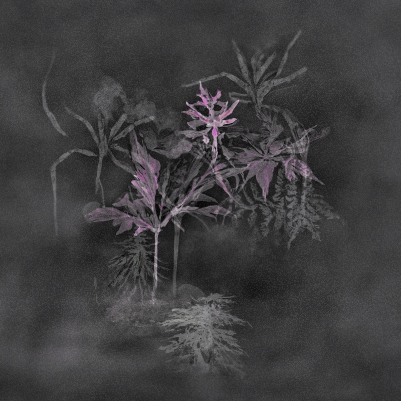 Hauntological Herbarium #26 static token preview