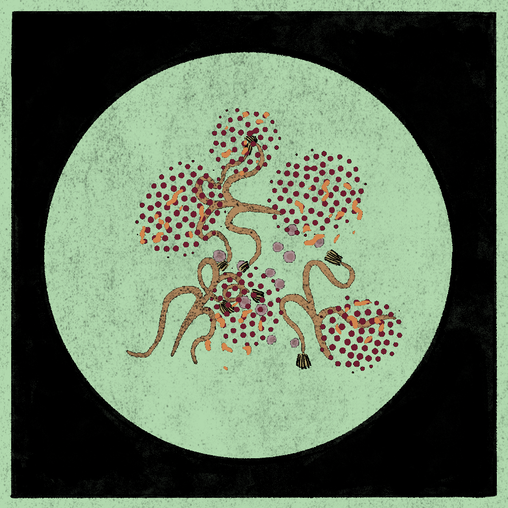 Microbes #4 static token preview