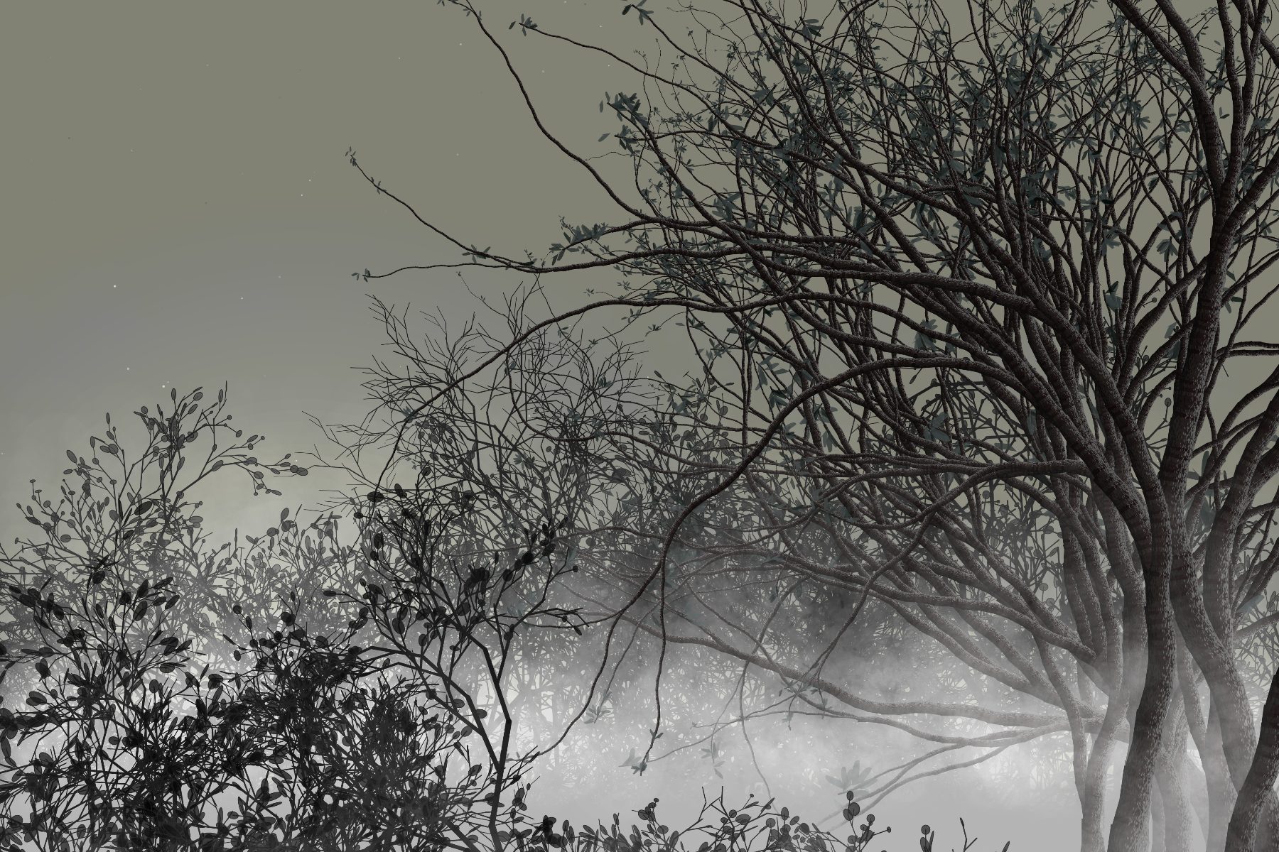 Morning Mist #2 static token preview