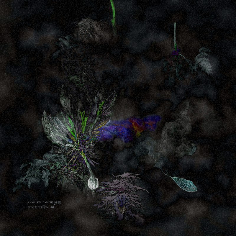 Hauntological Herbarium #14 static token preview