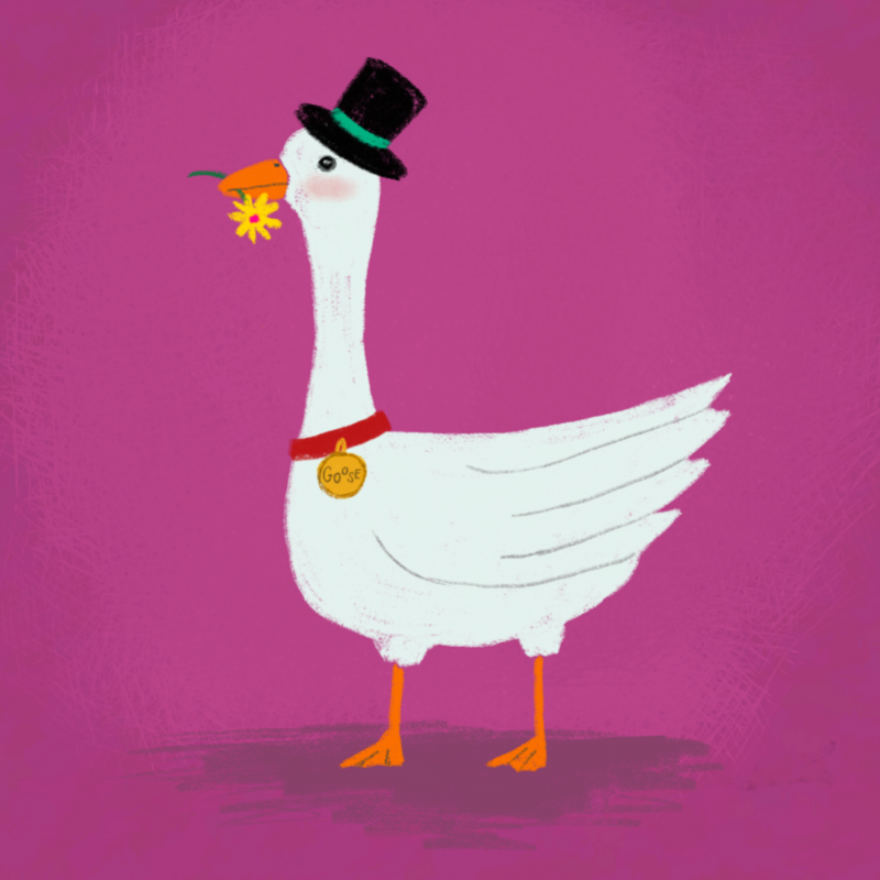 Silly Goose #24 static token preview