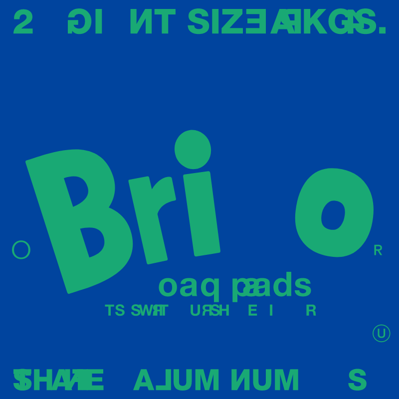 Brillo Recall #3 static token preview