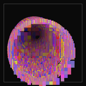 a square circle project preview