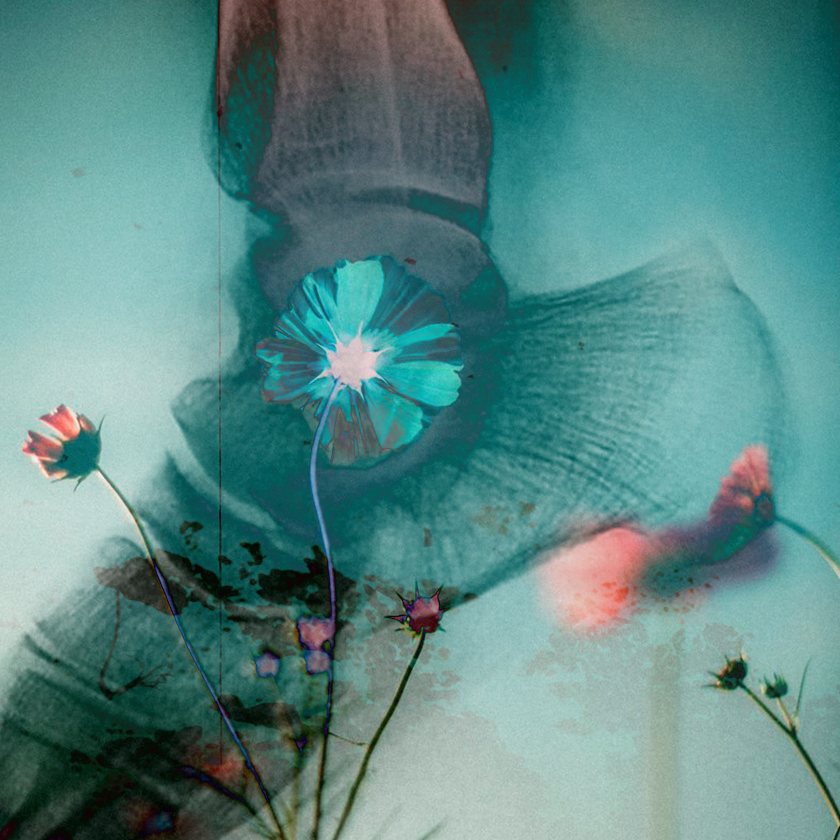 flowers and death #15 static token preview