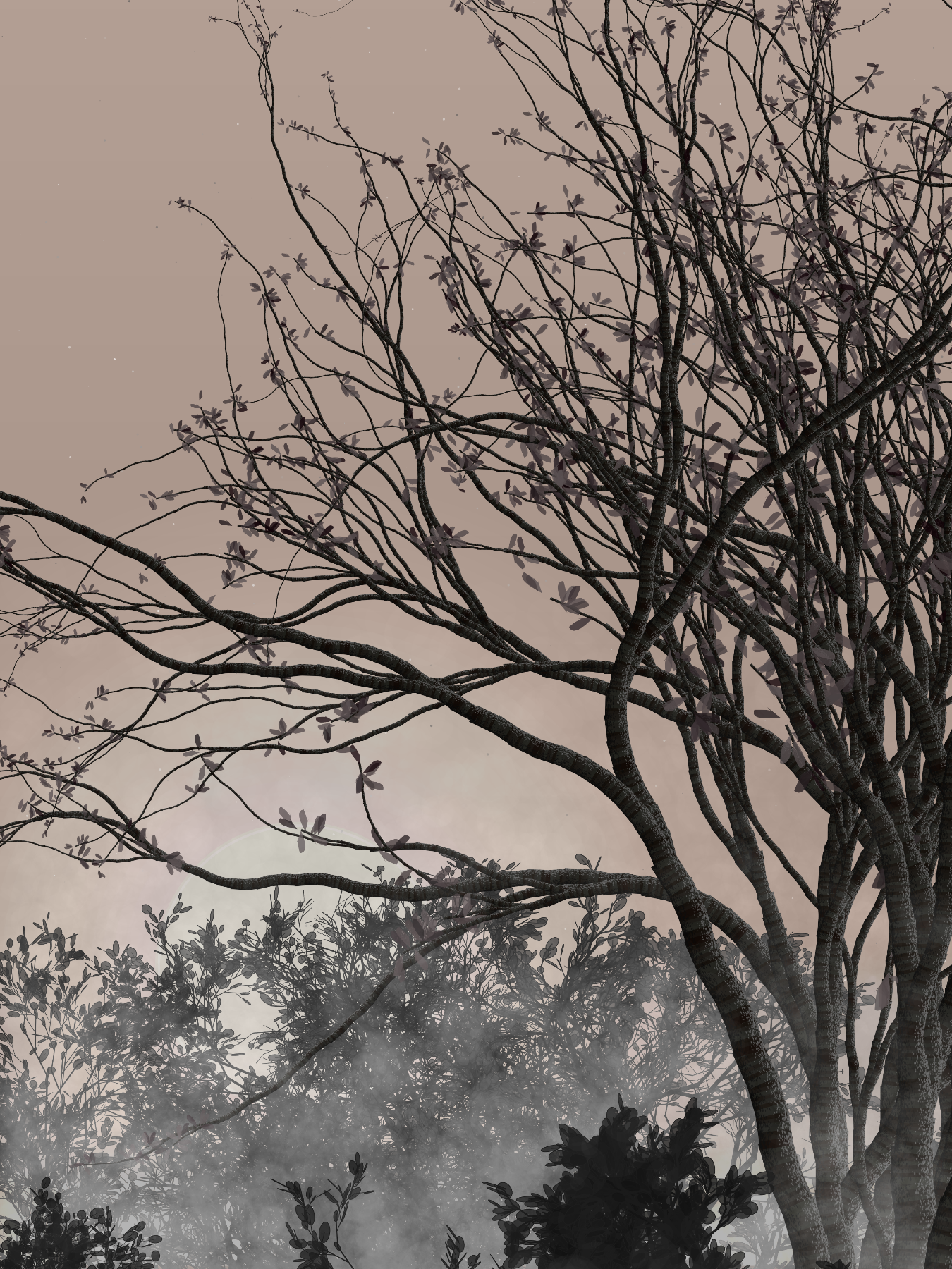 Morning Mist #211 static token preview