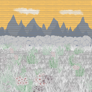 Mountain Meadows project preview