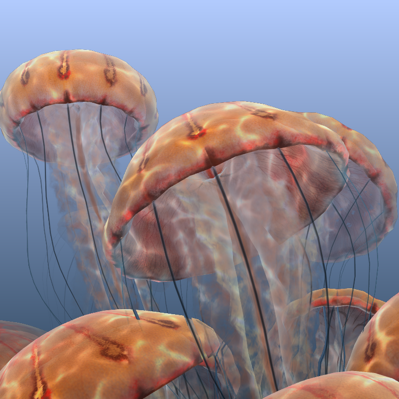 Jellyfish #10 static token preview